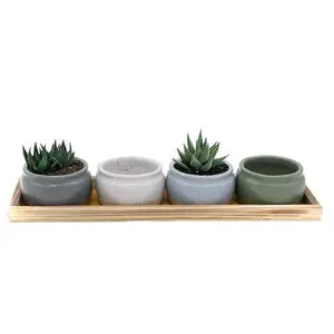 DEI - Everyday - Speckled Planter and Tray Set