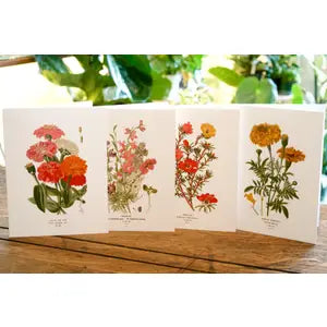 Seattle Seed Co. - Botanical Cards