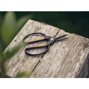 Barebones Living - Walnut Garden Scissors, Small