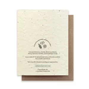 The Bower Studio -Orchard Mason Bee Plantable Card