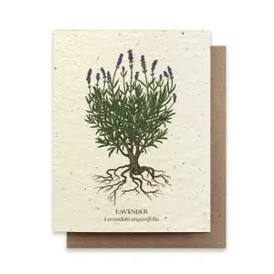 The Bower Studio - Lavender Plantable Card