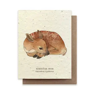 The Bower Studio - Whitetail Deer Plantable Card