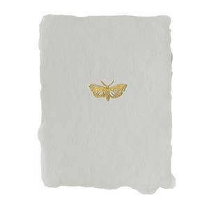 moth note card