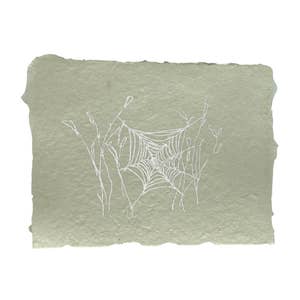 spider web in the grass note card